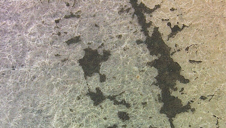 3R-MSA580 便攜式觸屏數碼顯微鏡