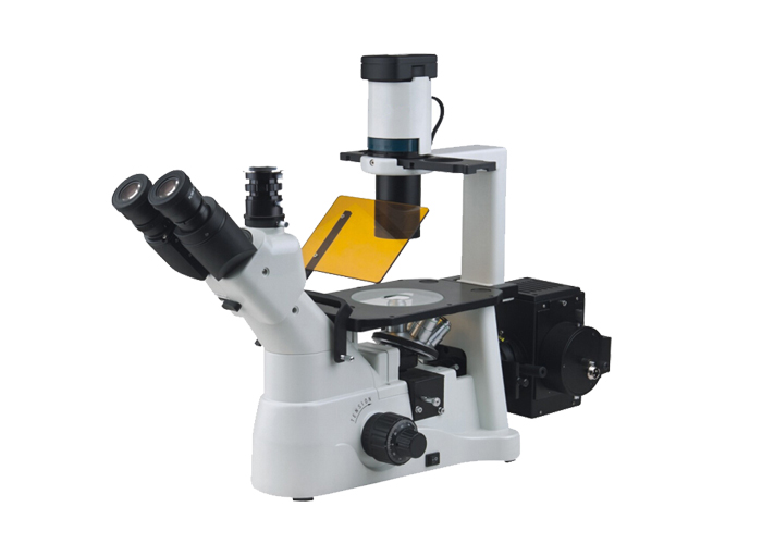 倒置熒光YG-XD30臨床診斷、教學實驗、細胞熒光染色觀察